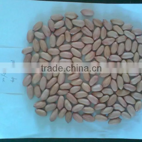 FLOWER11 FLOWER 17 PEANUT KERNEL photo-2