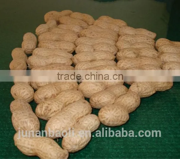 Roasted Peanut Inshell