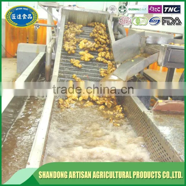Fresh Ginger Price in China photo-3
