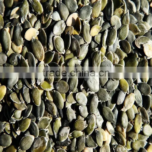 Bulk Pumpkin Kernels Grow Without Shell for Oil Use Export Grade photo-2