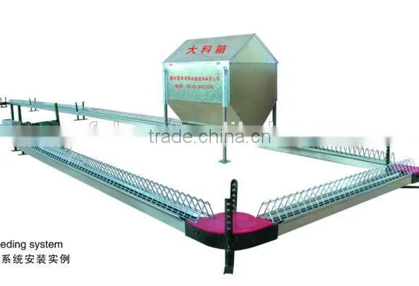 Automatic Screw Feed Hopper for Breeders House