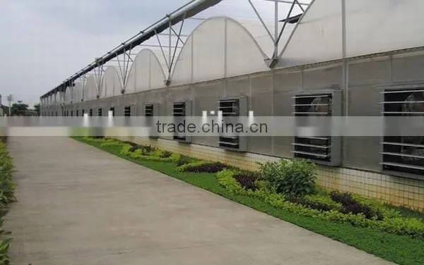 Exhaust Fan / Vacuum Fan/poultry Greenhouse Fan in China photo-4