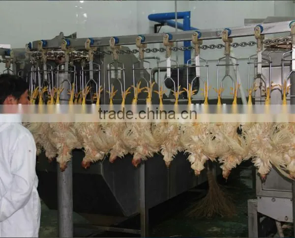 Full Set Poultry Slaughter Machine and Equipment 008618052092685