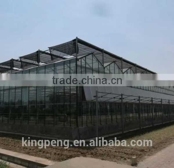 Venlo Tempered Glass/float Glass Greenhouse With Hydroponic Growing photo-4