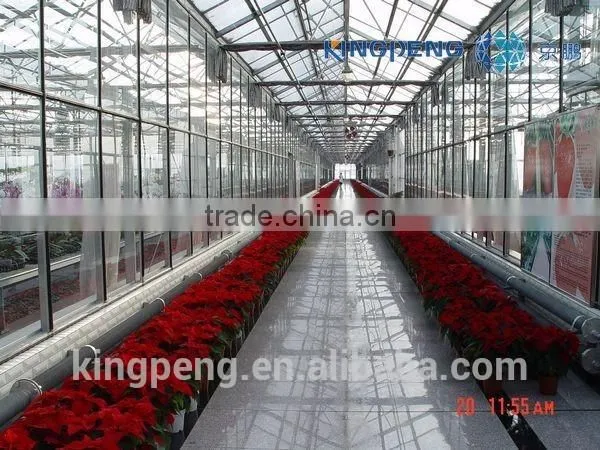 Multi Span Polycarbonate Sheet Greenhouse photo-4