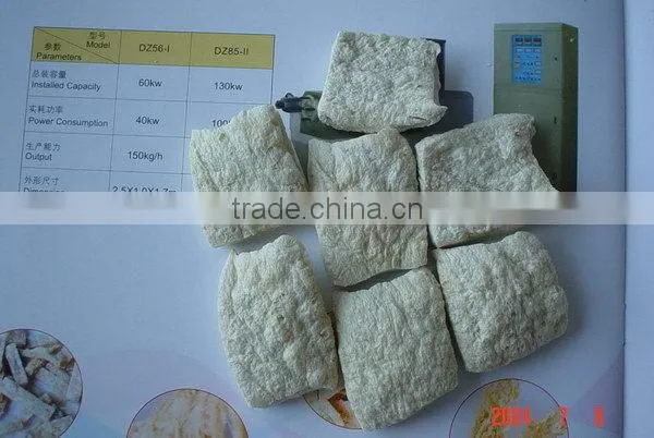 China Supplier High Technology Organic Soya Protein Food Machinery photo-4