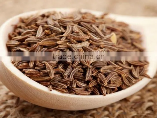 Cumin Seeds photo-3