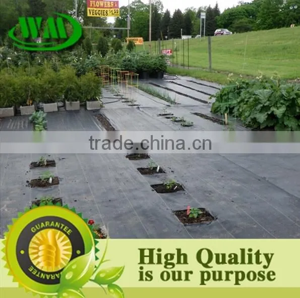 Organic Weed Barrier photo-3