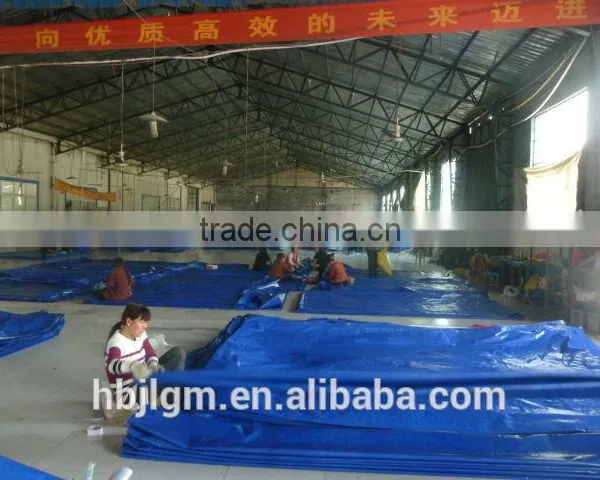 Fire Retardant Tarpaulin for Folding Car Shelter,car Parking Canopy photo-6