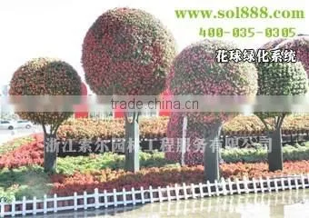 2015 Hanging Ball Planter SL-Y080 Ball Shaped Planters photo-2