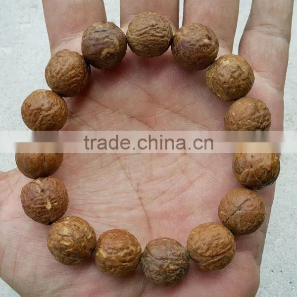 15 Beads Phoenix Eye Bodhi Seed Genuine Indonesian Buddha Chitta Mala Phrengba photo-4