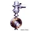China Suppliers-Reed Valve