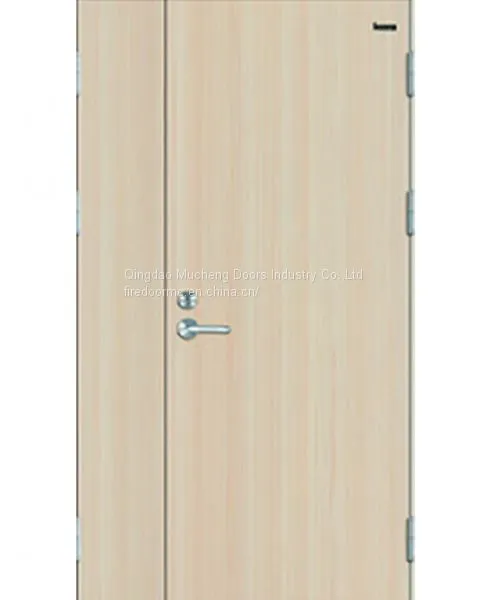 Wooden Fire Door