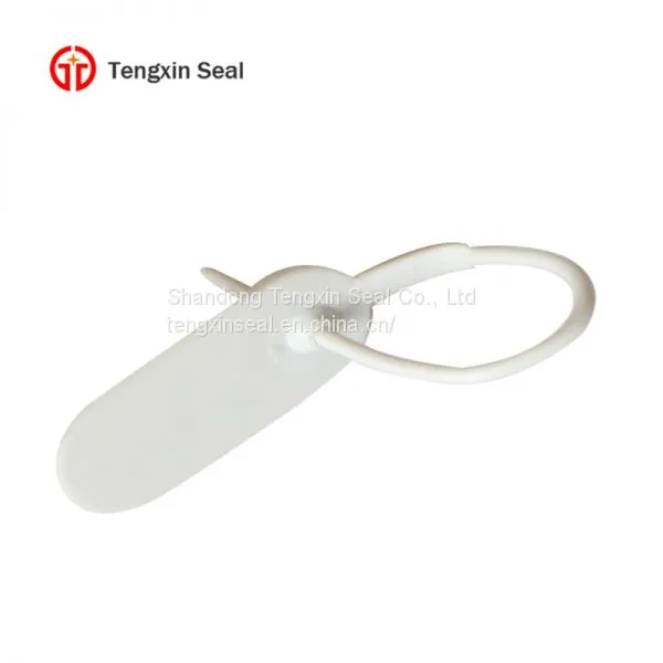 TX-PS 405 Single Using Good Price Tamper Evident Cable Ties