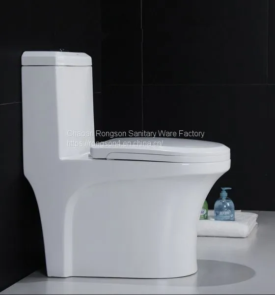 Chinese Manufacturer Wholesale Ceramic Elegant One Piece Siphonic Toilet With High Quality Soft Closed Seat Cover photo-3