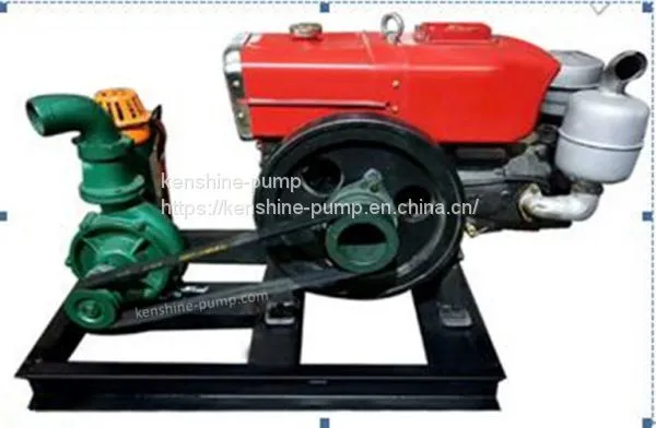CZW Diesel Engine Driving Self-priming Sewage Pump photo-2