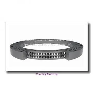Slewing Bearing
