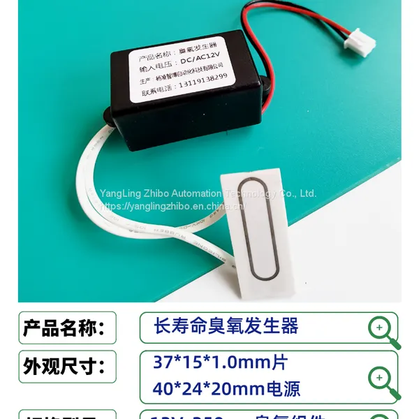 200mg Domestic or Commercial Air Purification Ozone Disinfection Machine Ozone Ceramic Plate Small Ozone Generator photo-2