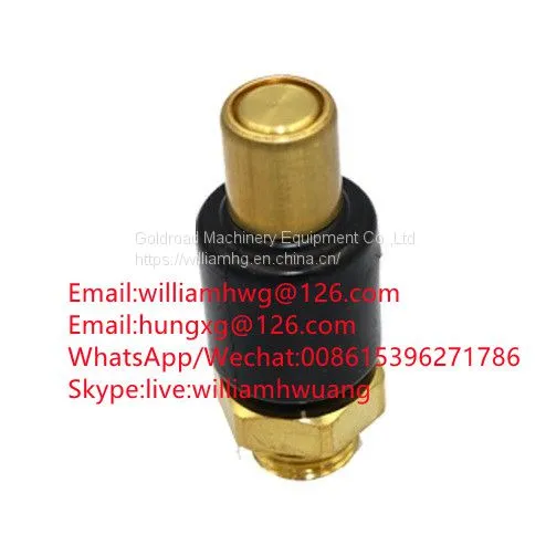 Volvo Truck Parts 3173104 Volvo Safety Valve 3173104