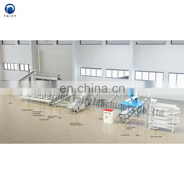 Walnut Shell Crusher Shell Kernel Separating Machine Almond Nuts Sheller Machine photo-4