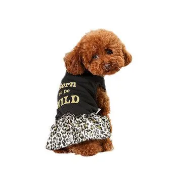 Pet Clothing & Accessories photo-3