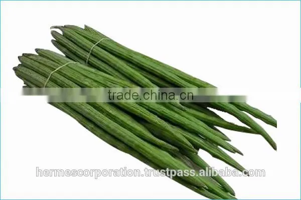 Fresh Organic Fresh Drumstick Vegetable From India