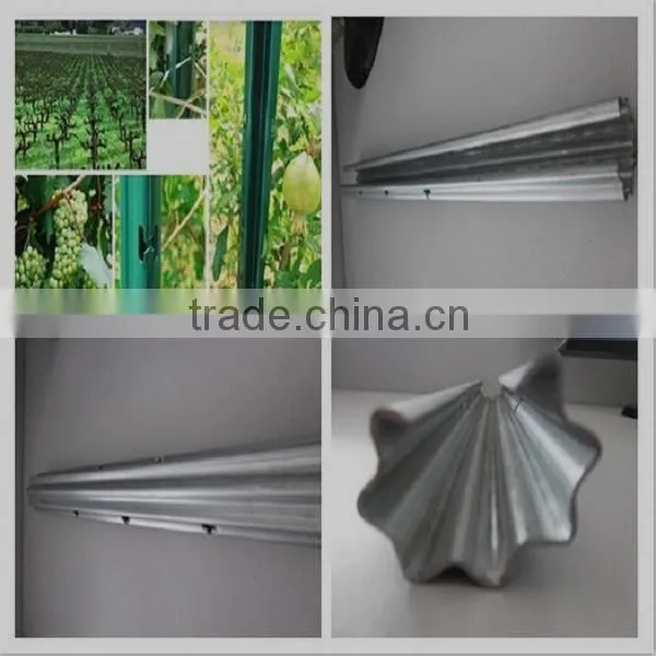 High Quality Galvanized Vineyard Post