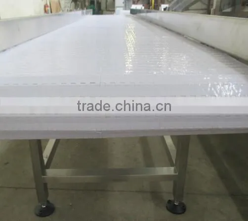 Horizontal Belt Conveyor for Fish photo-4