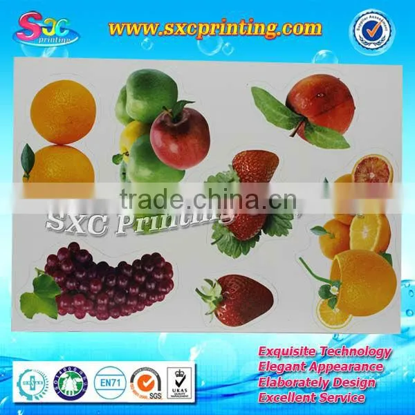 2016 New Magnet Sticker Factory Price Sticker Printing photo-4