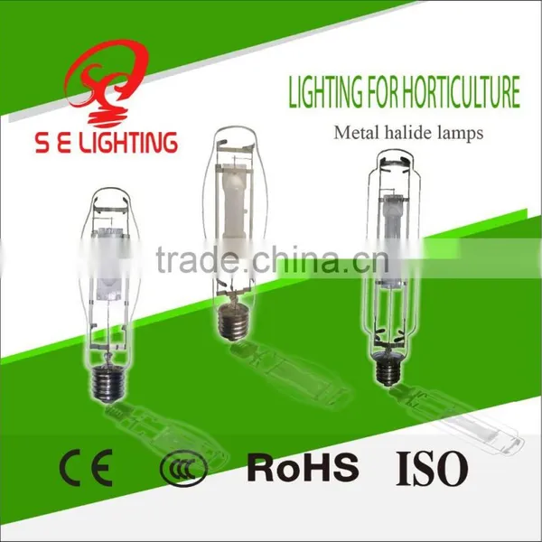 Metal Halide Lamp