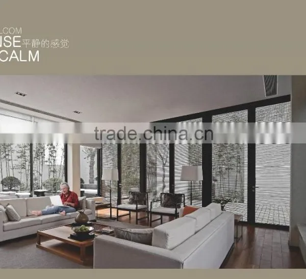 Double Glazed Veneation Blinds