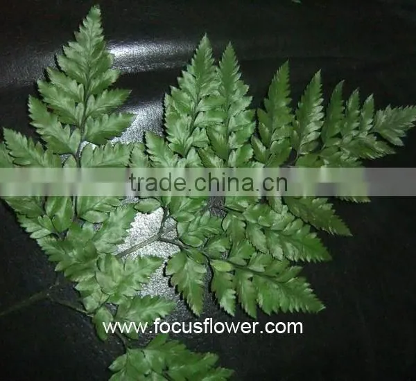 Home Decor Fresh Leather Leaves Fern For Wedding Leather Process Plant Fern photo-5