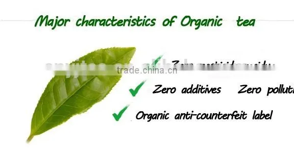 Wholesale Yijian 2016 First Class Organic Black Tea With Best Price photo-5