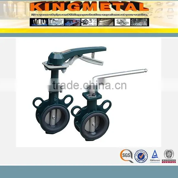 ASME B16.47 Class 150Lb~600Lb Cast Iron Wafer Butterfly Valve photo-3