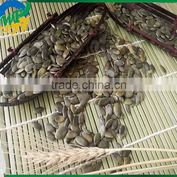 Pumpkin Seed Grow Without Shell GWS Low Price photo-3
