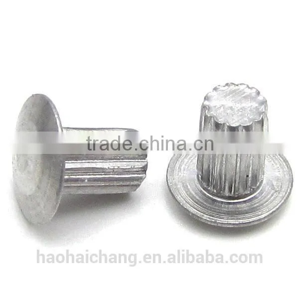 2016 Hot Selling High Quality Round Head Titanium Rivet photo-3