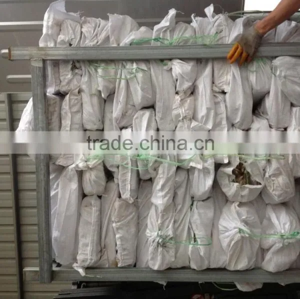2016 High Quality Frozen Illex Squid 200-300g for Sale photo-3