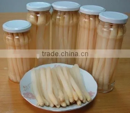 Canned White Asparagus photo-5