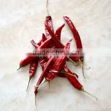 PEPPER photo-3