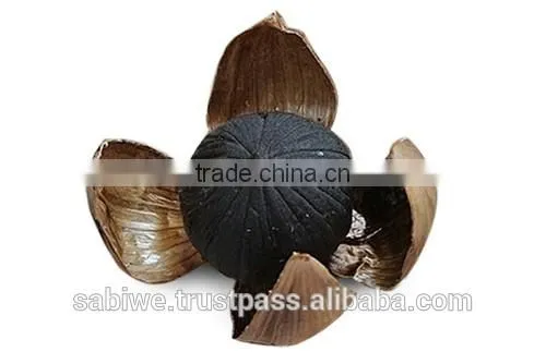 High Quality Single Clove Black Garlic Made in Vietnam photo-2