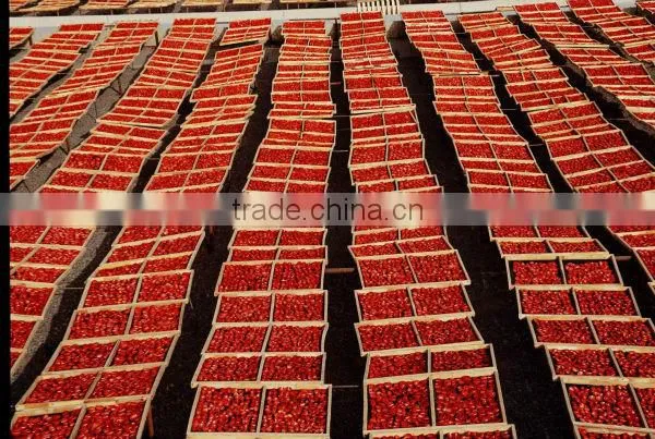 Sundried China Tomato Organic Sun Dried Tomatoes For Sell photo-4