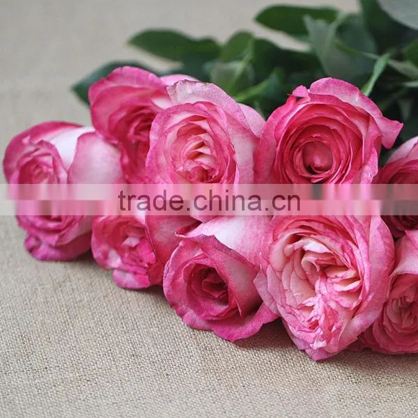 Wholesle Different Types of Pink Rose Flowers Arrangements Made in China photo-2