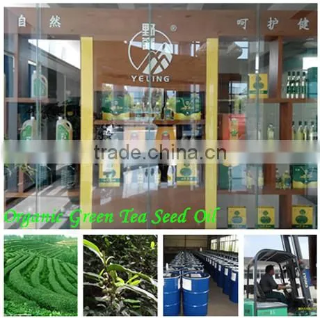 100% Pure Organic Green Tea Seed Oil/Top Manufacturer & Drafter for National Standard photo-3
