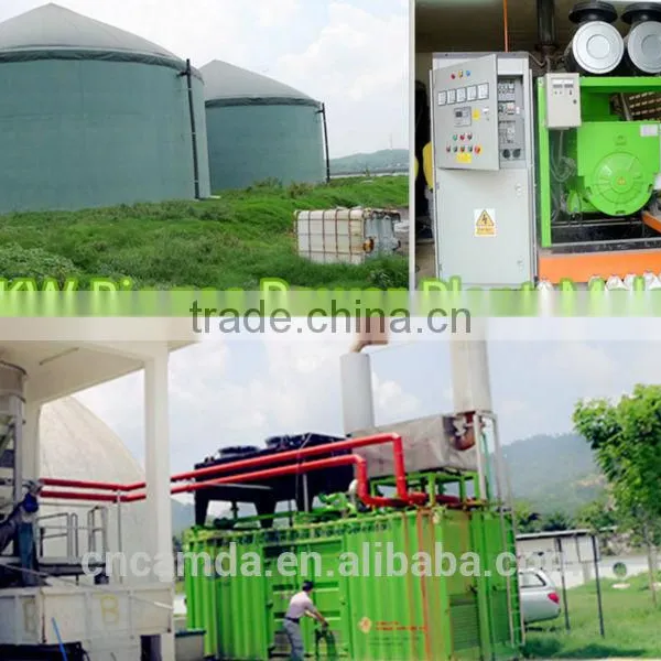 Incredible Low Price Biogas Generator Set From Manufacturer With CE Certificate photo-3