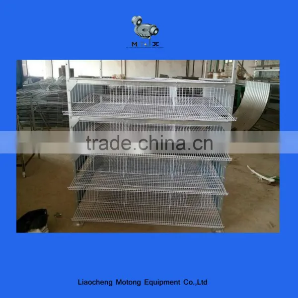 Automatic Quail Layer Cage photo-4
