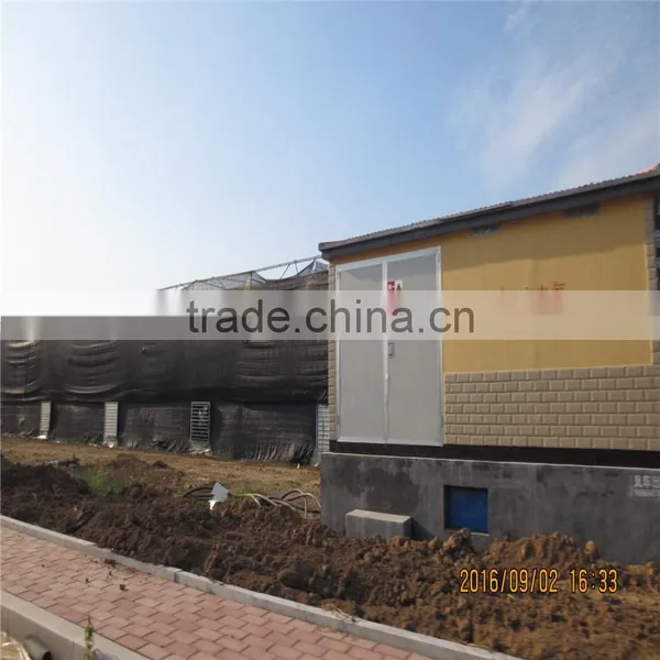Hot Selling Farm Plastic Greenhouse for Sale photo-3
