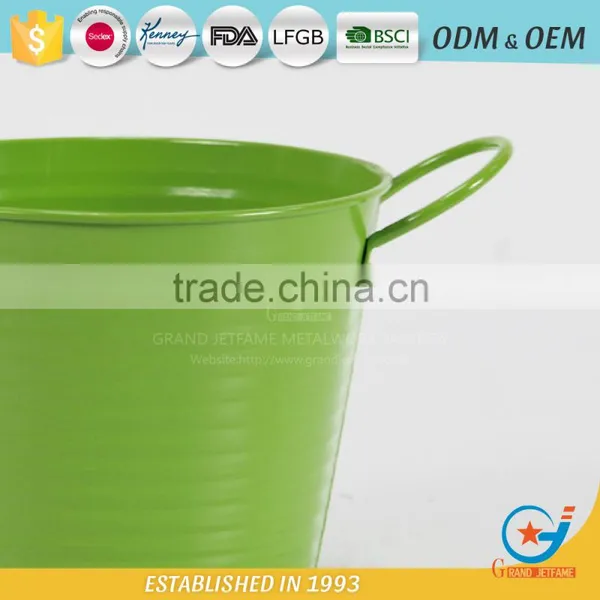 Iron and Zinc Unique Embossing Powder Coated Flowering Plants in Pots Decoration Garden Flower Pot photo-5