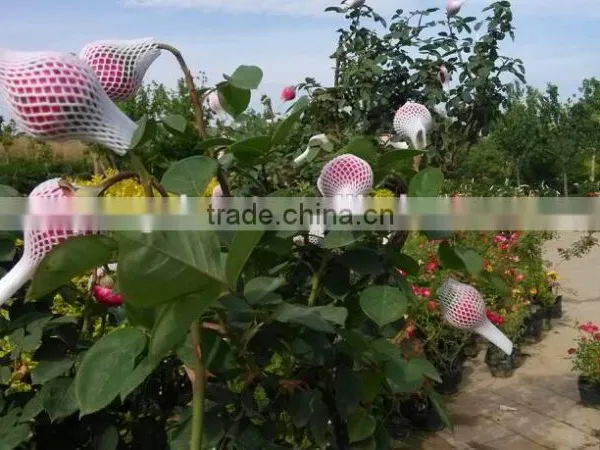 Thailand Hot Product Rose Flower Packaging Wrap Netting photo-6