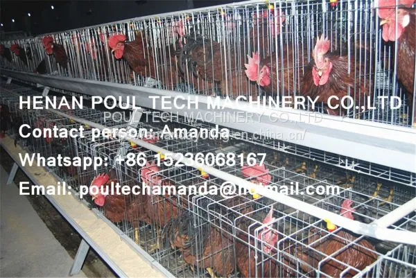 Tanzania Poultry Farm Hot Galvanized Cage & A Type Battery Cage Layer Breeding Chicken Cage & Coop for Poultry Farm photo-2