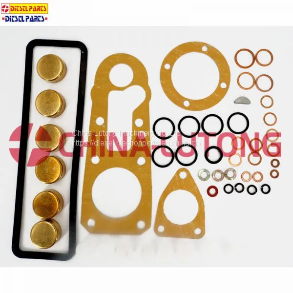 Diesel Pump Repair Kits-cummins Rebuild Kit 1 417 010 003 for ISUZU Ve Pump photo-3